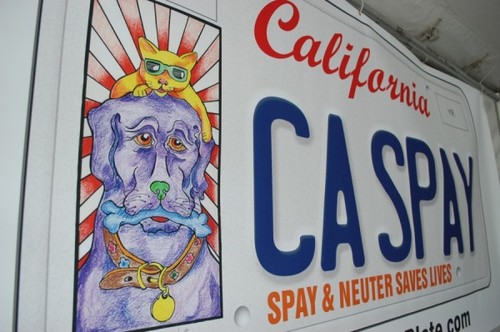 Spay_Neuter_Plate_big-600x398.jpg
