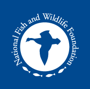 logo.gif