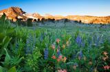 Carson_20pass-6580-edit_jpg