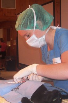 Surgery