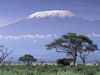 Mount-kilimanjaro_thumb
