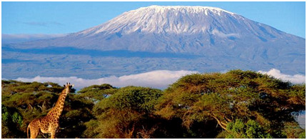Kilimanjaro