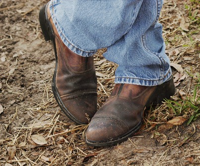 Tom_sboots