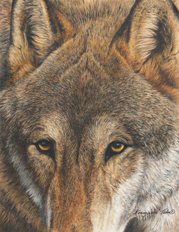 East Mountain High School Wolf