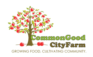 Do you know how to fortify your immune system for the fall season?