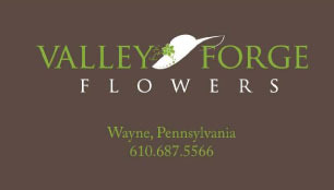 Valleyforge_logo-webjpg
