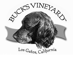 Bv-logo