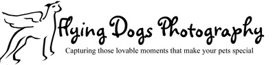 Flying_dogs_logo_final_edited-2