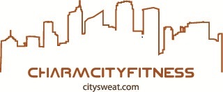 Citylinelogo_w_web
