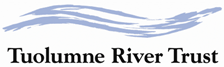 Trt_logo