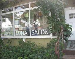Artlunasalon2_jpg_300x237_crop_upscale_q85