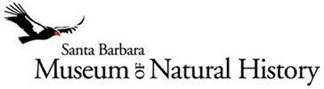 Home_logo