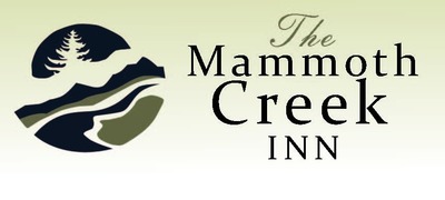 New_mci_logo