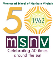 Msnvanniversarylogo1962