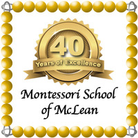 40th_logo_sample_2_msmclean