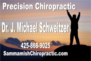 Precision-chiropractic_dr_j_m_schweitzer_logo_9