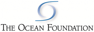 The-ocean-foundation-logo-300x102