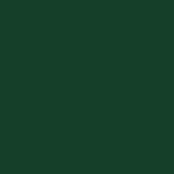 Home 148 DARK GREEN 1/2 PINT 1 SHOT LETTERING ENAMEL