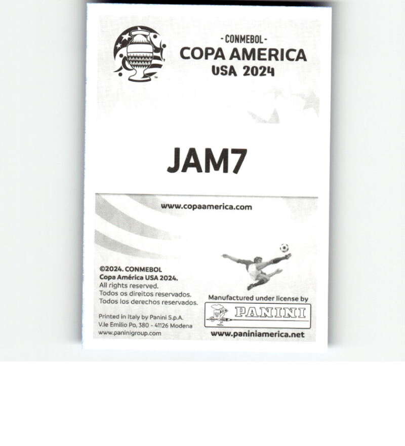 2024 Panini Copa America Blue Mini Sticker Soccer Futbol Singles -Pick Stickers - Picture 171 of 337