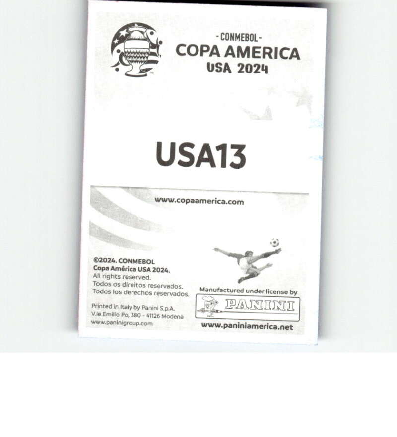 2024 Panini Copa America Blue Mini Sticker Soccer Futbol Singles -Pick Stickers - Picture 311 of 337