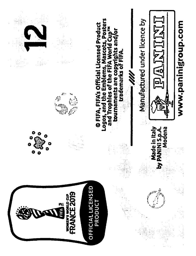 2019 Panini FIFA Women's World Cup Stickers Pick From List With Foils 1-240 - Picture 25 of 481