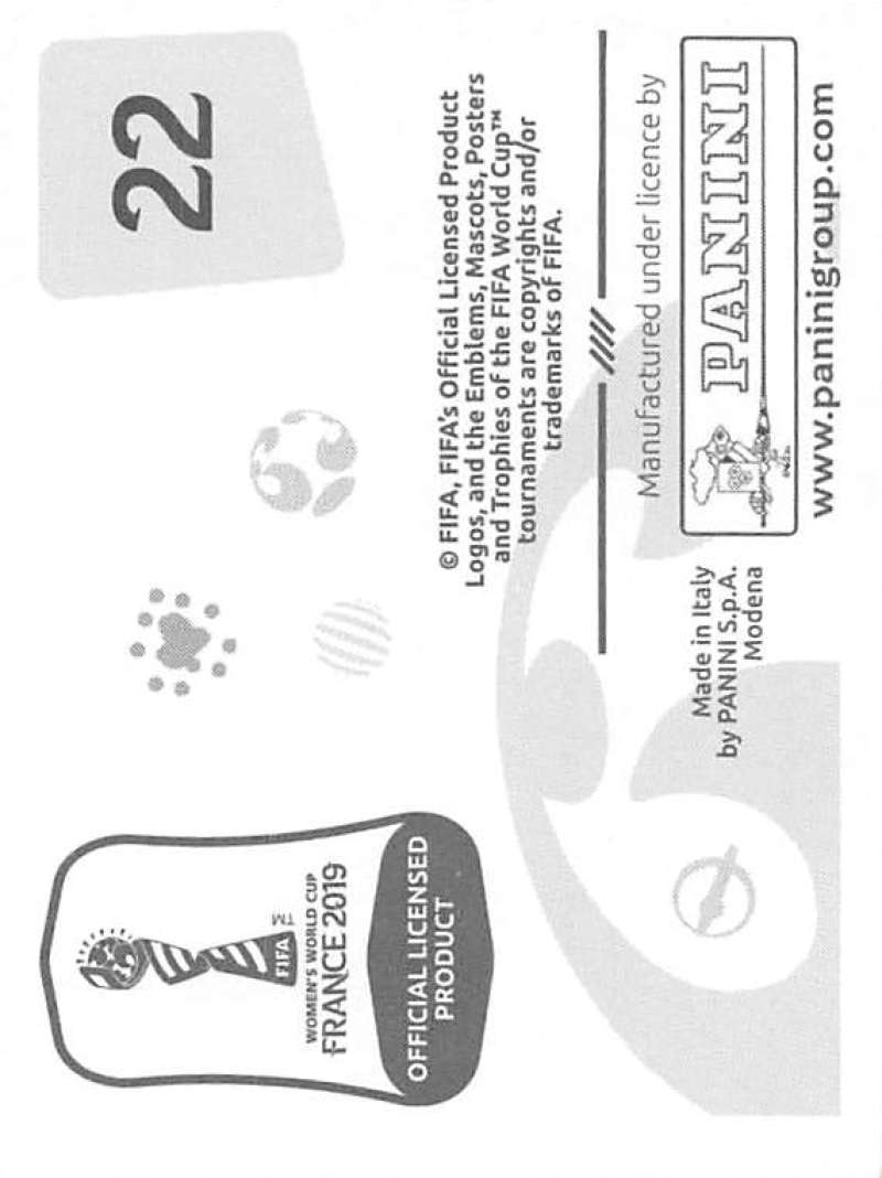 2019 Panini FIFA Women's World Cup Stickers Pick From List With Foils 1-240 - Picture 45 of 481