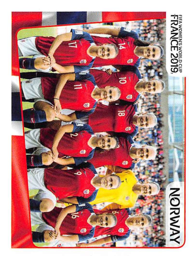2019 Panini FIFA Women's World Cup Stickers Pick From List With Foils 1-240 - Picture 126 of 481