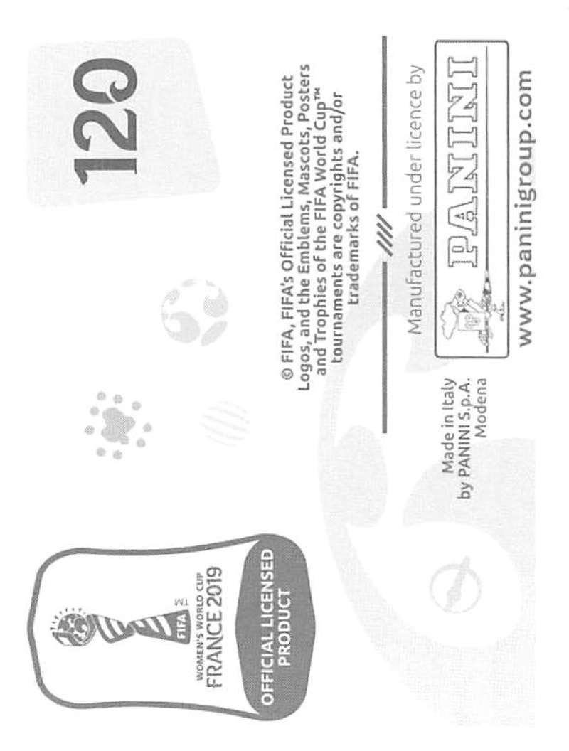 2019 Panini FIFA Women's World Cup Stickers Pick From List With Foils 1-240 - Picture 241 of 481