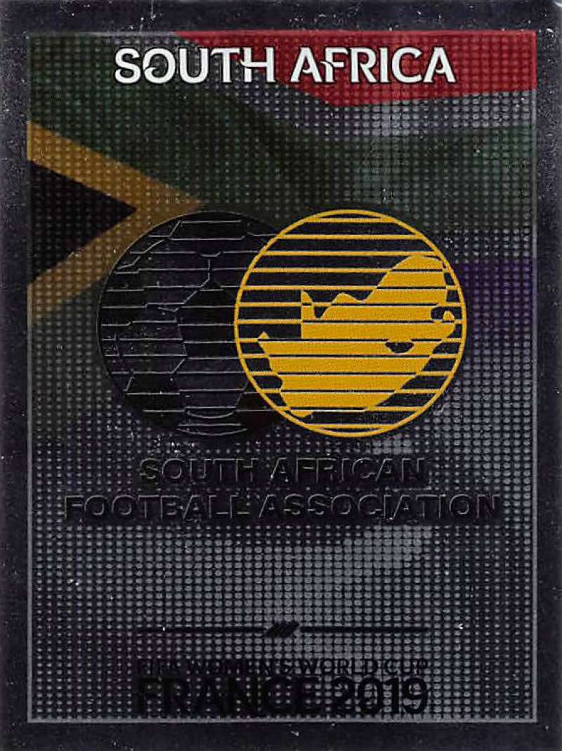 2019 Panini FIFA Women's World Cup Stickers Pick From List With Foils 1-240 - Picture 314 of 481