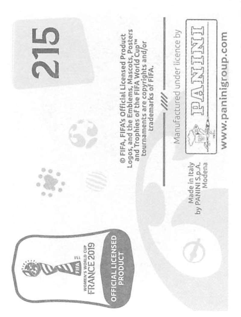 2019 Panini FIFA Women's World Cup Stickers Pick From List With Foils 1-240 - Picture 431 of 481