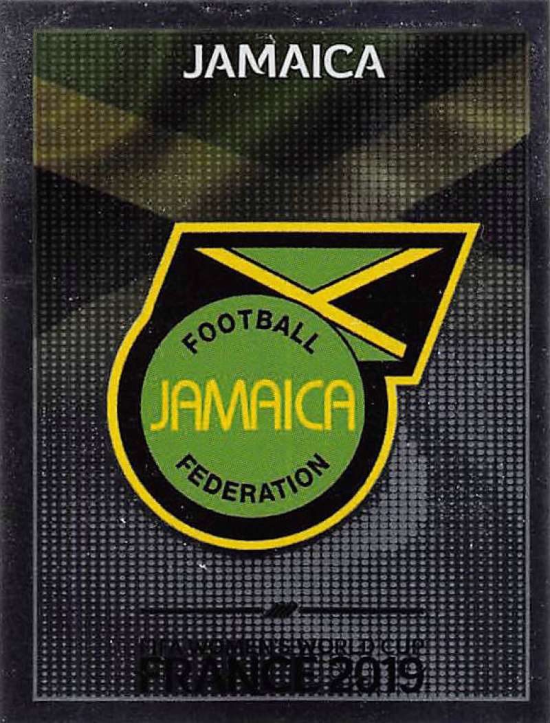 2019 Panini FIFA Women's World Cup Stickers Pick From List With Foils 1-240 - Picture 466 of 481