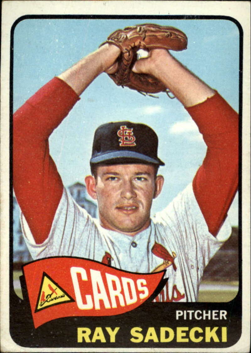 Pick Your Cards 1965 Topps MLB Baseball Set Break #1 Singles (#1-251) See Scans - Picture 420 of 459