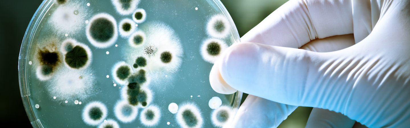 Outbreak: Epidemics in a Connected World