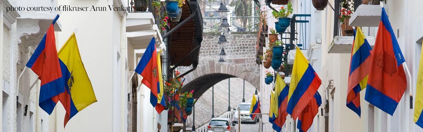 Photo of Ecuadorian flags
