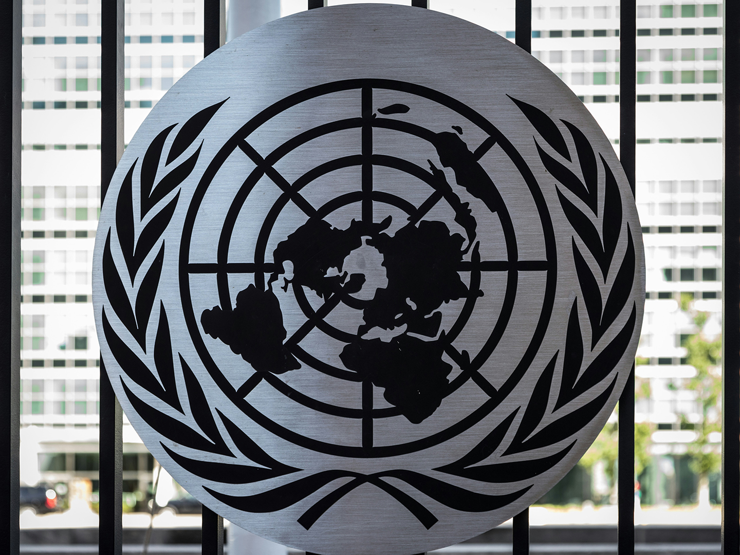 The United Nations logo on a globe