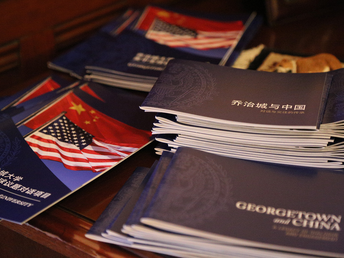 Initiative brochures