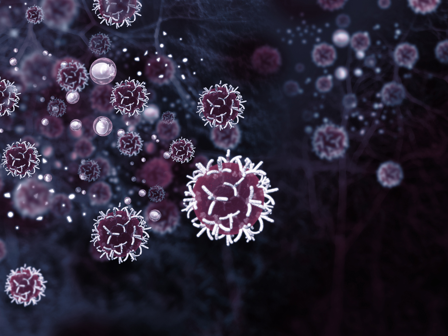 Cancer cells.