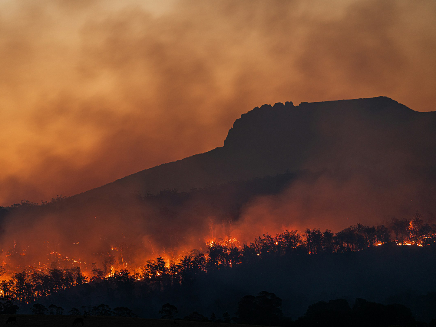 A forest fire engulfs a mountain and creates a smokey, hazy sky