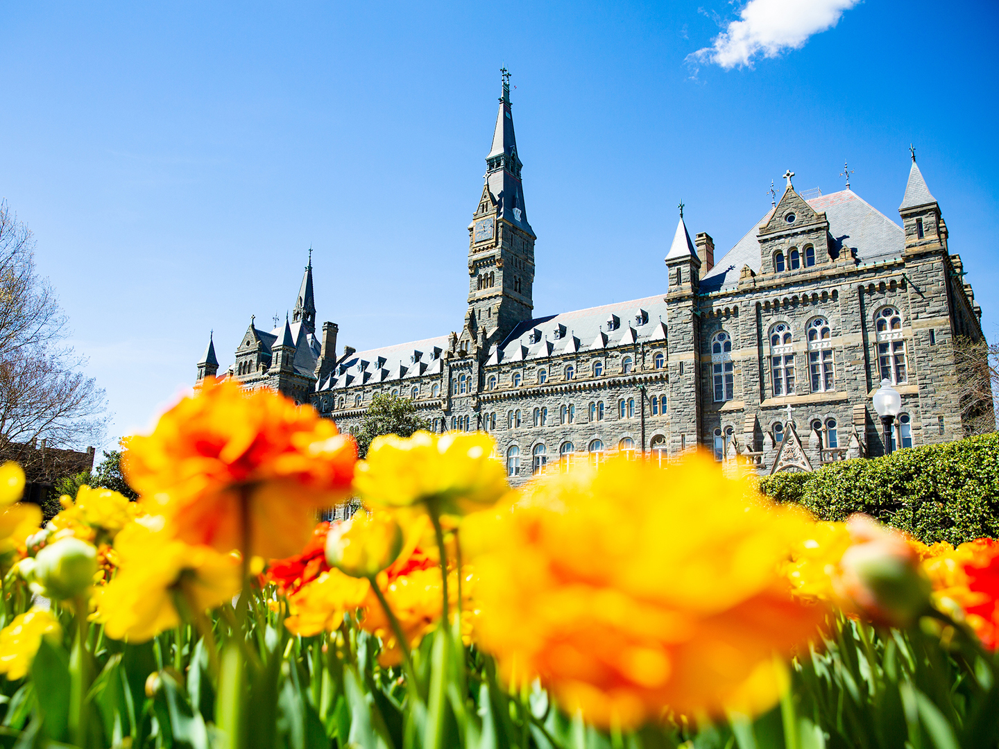 Georgetown Democracy Initiative Council Inaugural Annual Convening
