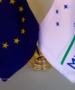 EU and Mercosur flags