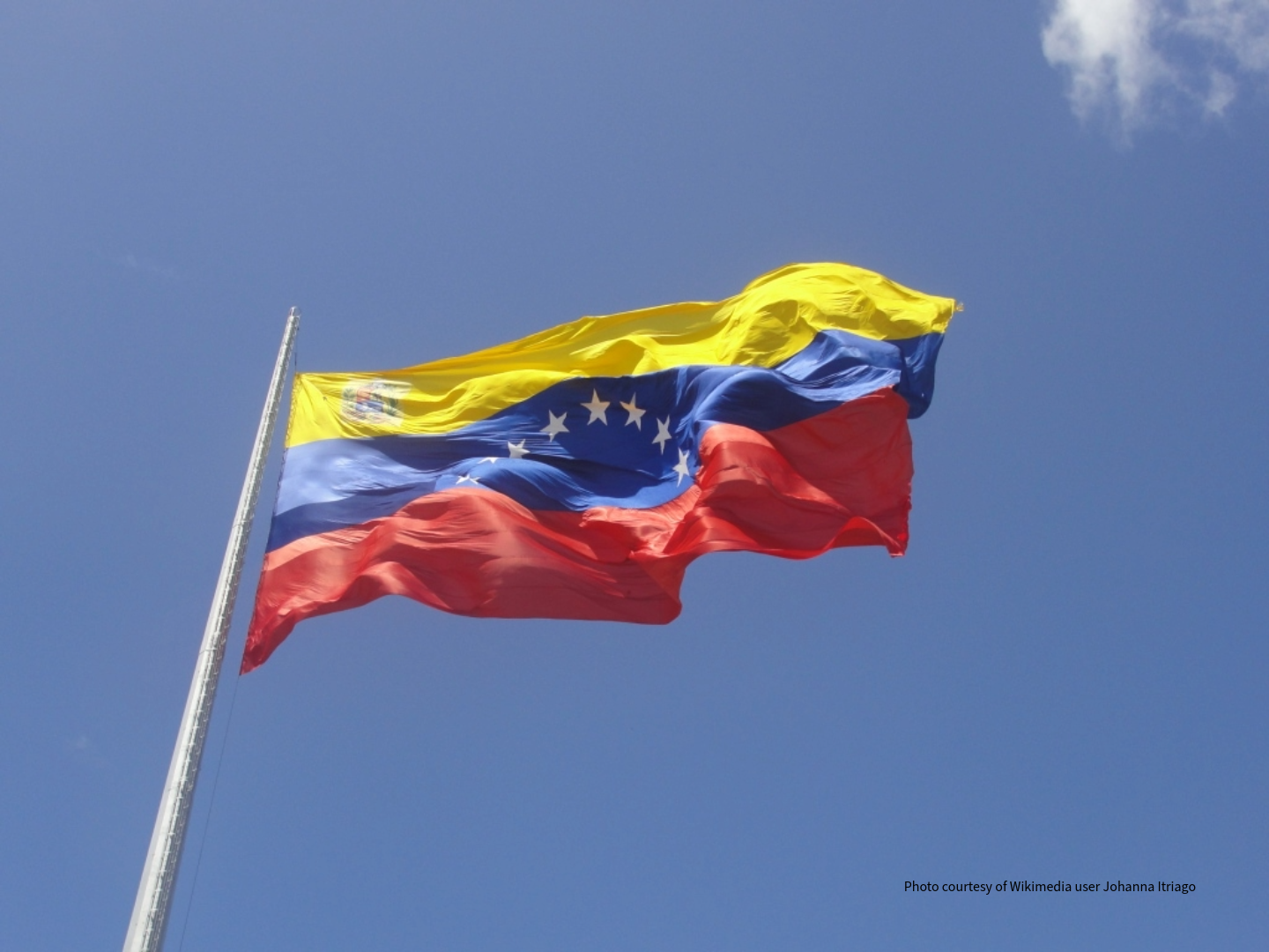 Venezuelan flag