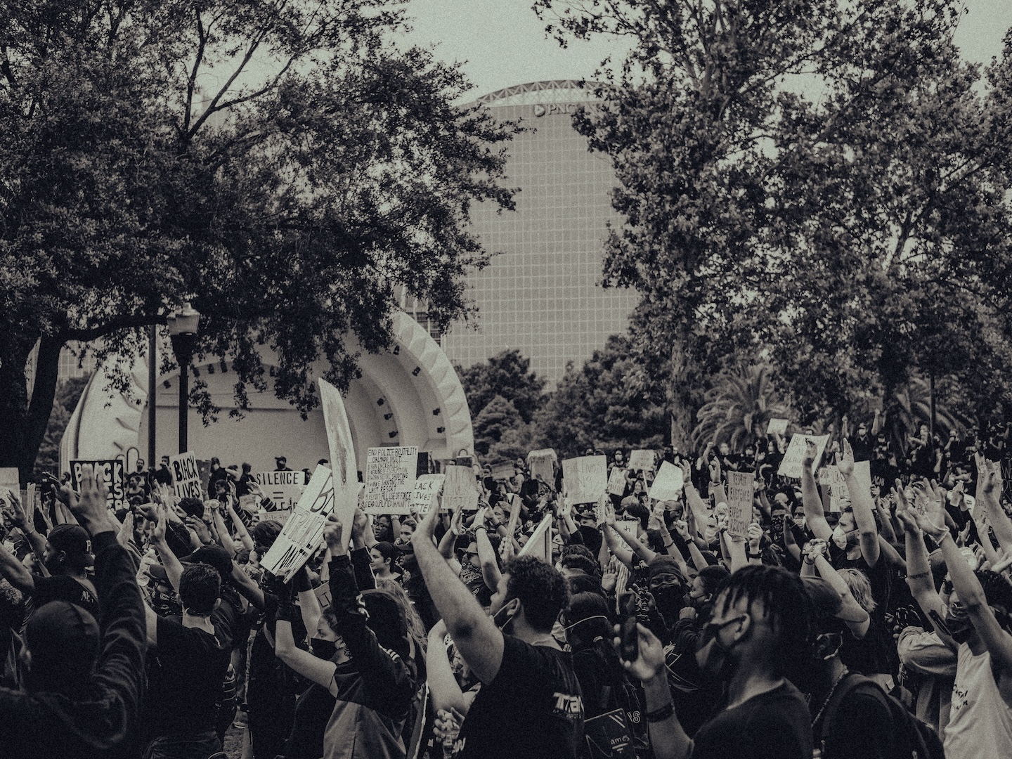 A crowd of protesters holding signs