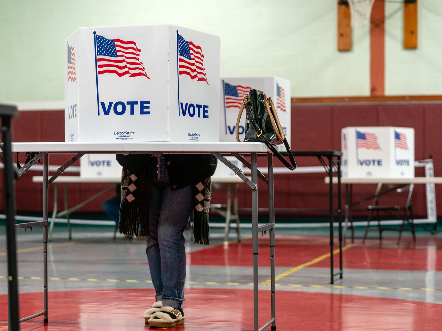A voter at a voting booth