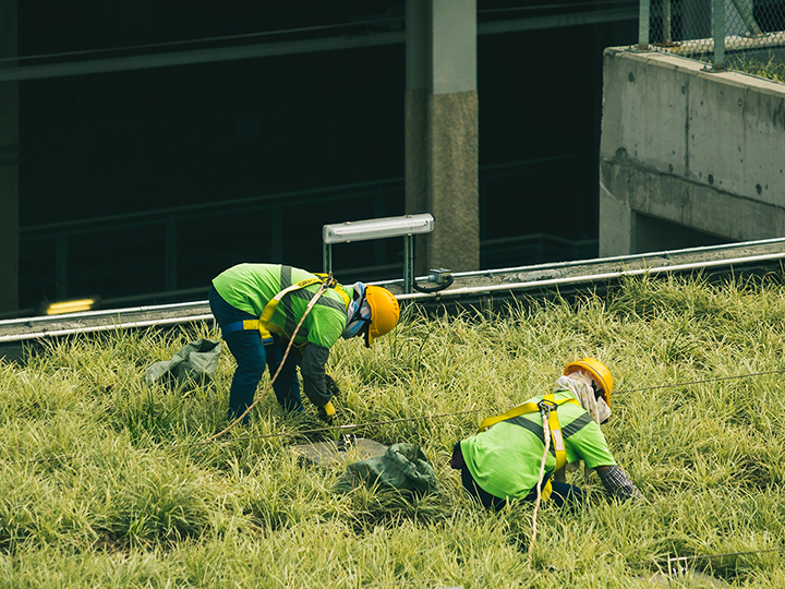 Construction workers on a rooftop