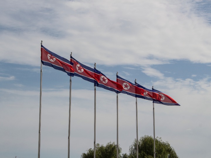 A row of North Korean flags on flagpoles against the backdrop of a cloudy sky