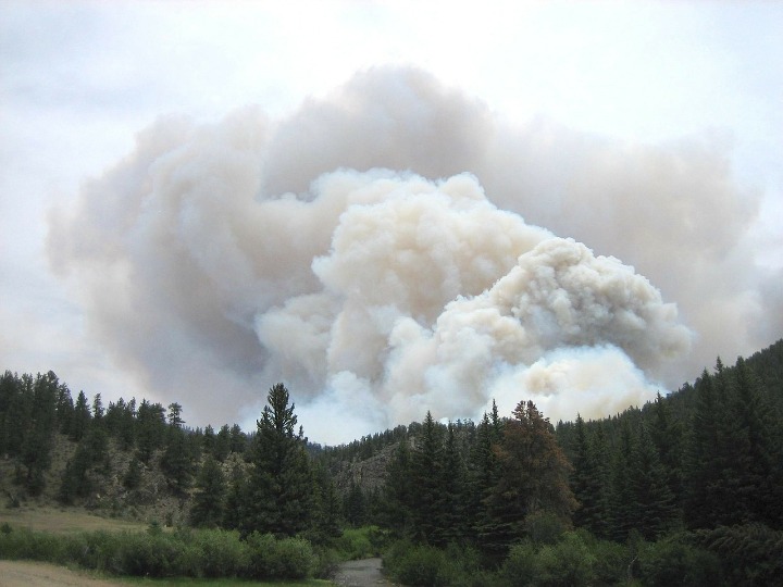 Cloud of smoke emerging from the ground behind a tree line, obscuring the sky.