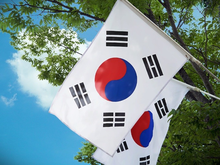 Two South Korean flags against the backdrop of a blue sky and tree branches.