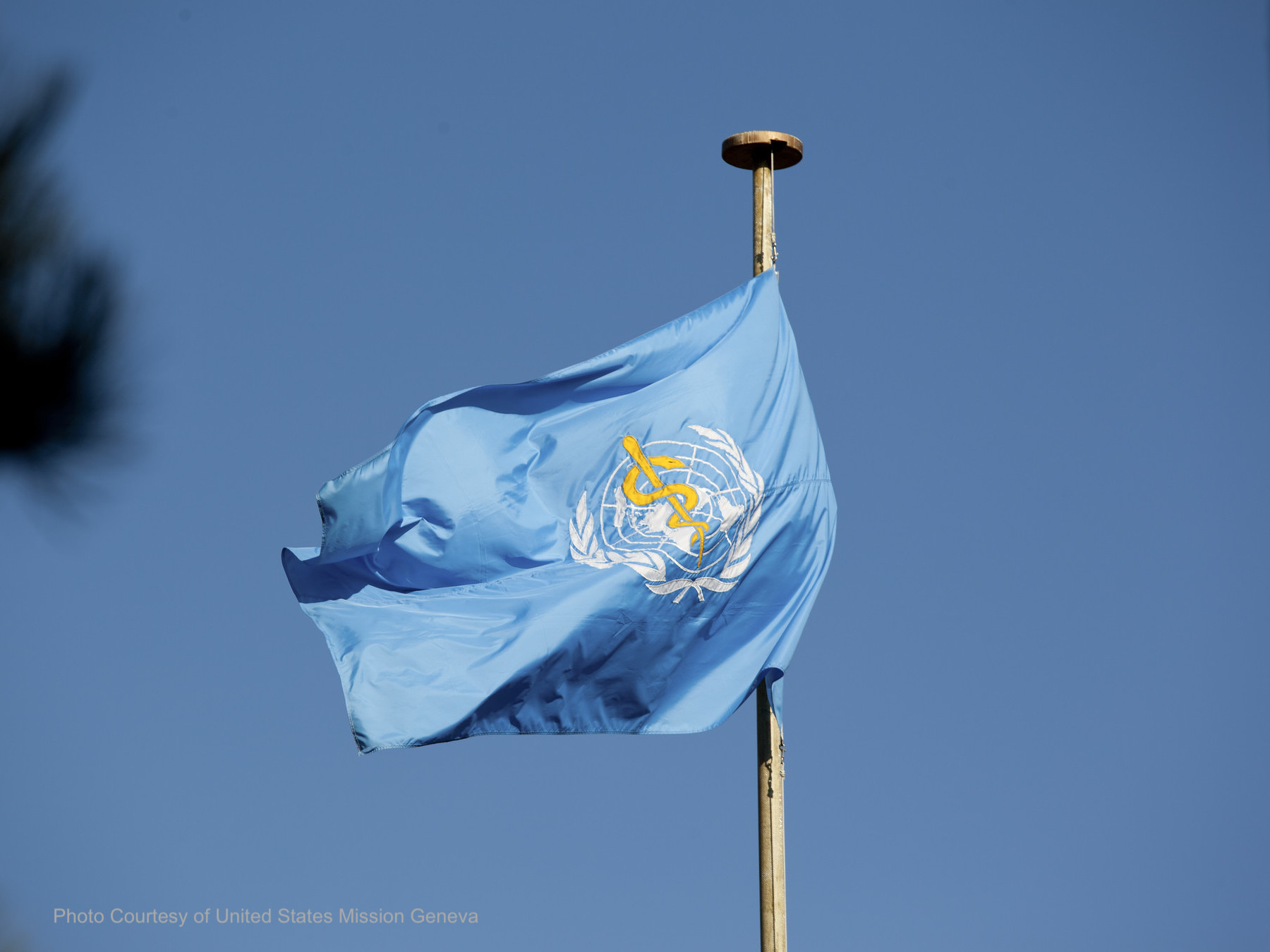 World Health Organization flag at their headquarters