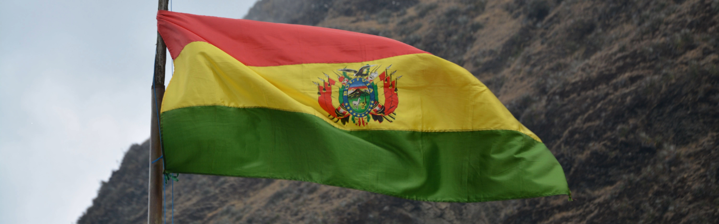 Bolivian flag