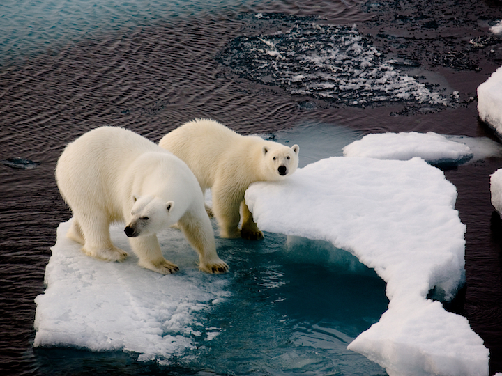 U.S.-China Dialogue on Climate Change Background Report